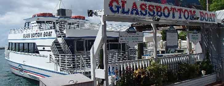 Glass Bottom Boat Discovery Tour, Key West Fotos